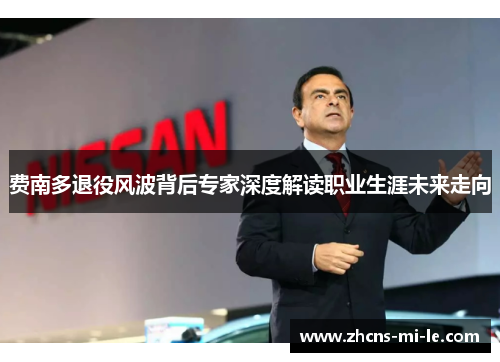 费南多退役风波背后专家深度解读职业生涯未来走向 费南多退役风波背后专家深度解读职业生涯未来走向