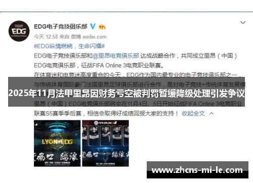 2025年11月法甲里昂因财务亏空被判罚暂缓降级处理引发争议