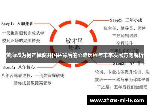黄海诚为何选择离开国乒背后的心路历程与未来发展方向解析